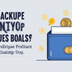 Top 6 Backup Crypto Wallets for Secure Digital Currency Storage