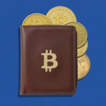 Top 6 Crypto Wallets for Safeguarding Your Altcoins